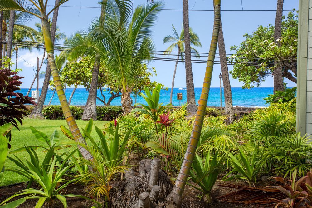 Vacation Condos In Kona Kailua-Kona Eksteriør bilde